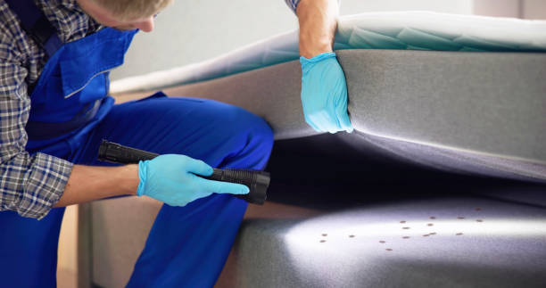 Best Pest Prevention Services  in Hokendauqua, PA