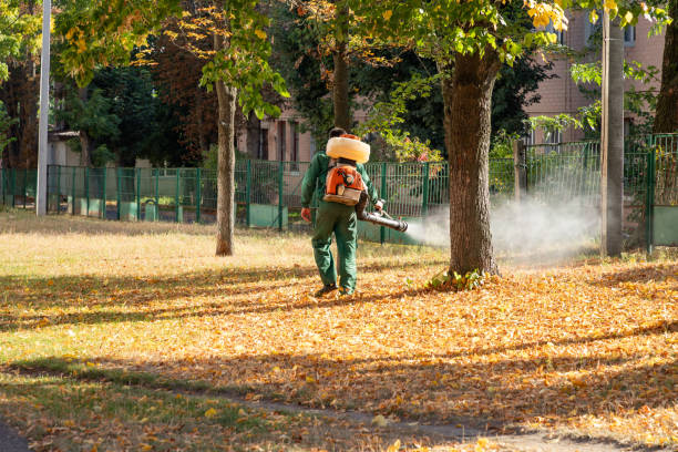Best Rat Extermination Near Me  in Hokendauqua, PA